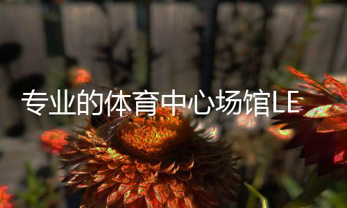 而专业的体灯比训练比赛