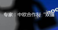 专家：中欧合作利“双循环”运转