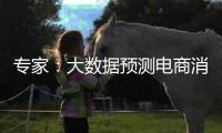 专家：大数据预测电商消费潮流