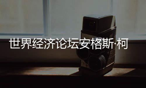 今年夏季达沃斯论坛期间