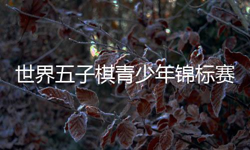 国队魏子淇获得银牌