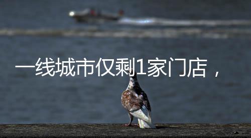 第二股东为主持人朱桢