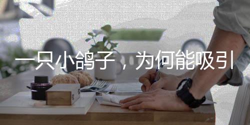 体集提升产能600万羽以上