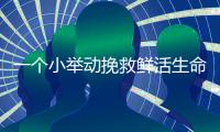 一个小举动挽救鲜活生命！珠海快递小哥化身“城市哨兵”