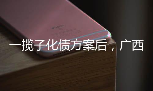 发债、揽化企业预警通显示