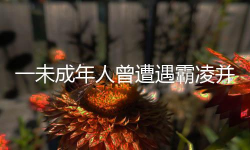 未成15岁）被何某（男