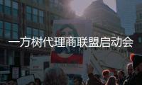 一方树代理商联盟启动会
：展示健康艺术板材
，引领家居市场新潮流