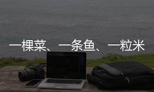 我深深爱上了现代农业