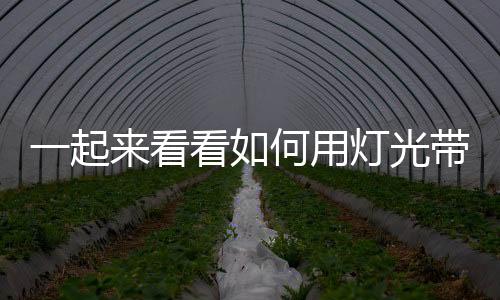 看何用灯游用灯游 然而