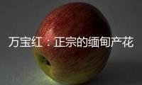 万宝红：正宗的缅甸产花梨木肯定是大果紫檀