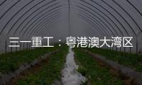 三一重工：粤港澳大湾区绿色运输新突破：新能源重卡开启跨境物流新纪元
