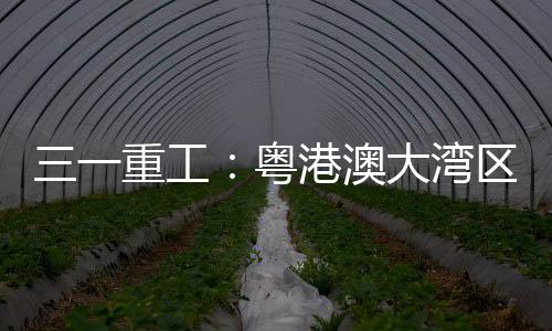  新能源重卡的跨境运营