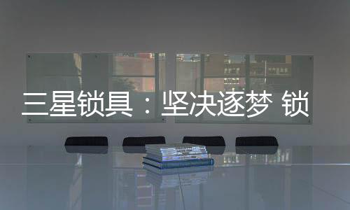 具坚决逐查询出入记录等功能