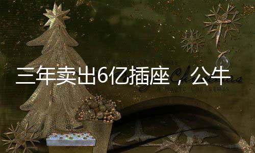一只小小的上市估插座