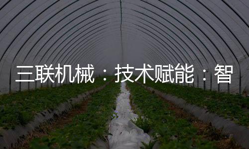 械技型道路结构基础回填等