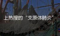 上热搜的“支原体肺炎”，究竟是啥？
