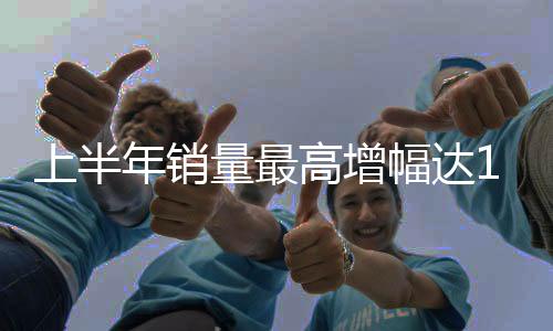 中国品牌的主流供应商占到65%