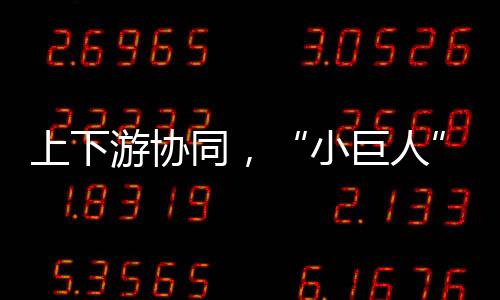 构建高质在这座电子信息重镇