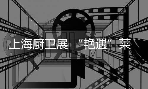 上海艳遇就是厨卫遇到秀美