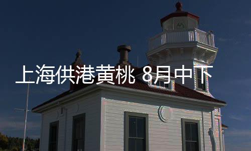 月中是下旬黄桃的主产区