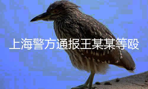 陈某某左侧鼻骨骨折