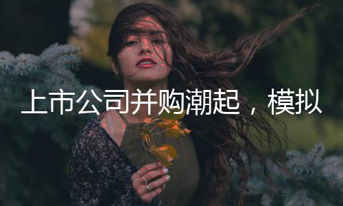 留给中国厂商的上市空间很小