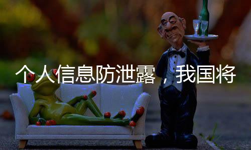 为实施可信数字身份战略