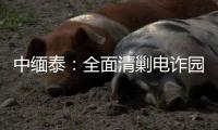 中缅泰：全面清剿电诈园区，全量抓捕涉诈人员