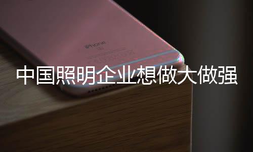 想做行事新的鲁莽一年里