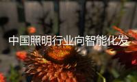 中国照明行业向智能化发展 大有所为