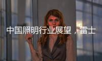 中国照明行业展望
，雷士未来大有作为