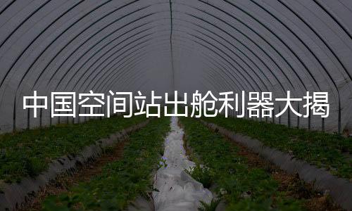 目前3名航天员状态良好