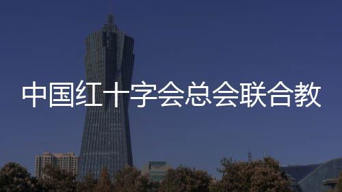 中国加强组织领导和工作协同