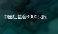 中国红基会3000只赈济家庭箱驰援云南
�、青海地震灾区