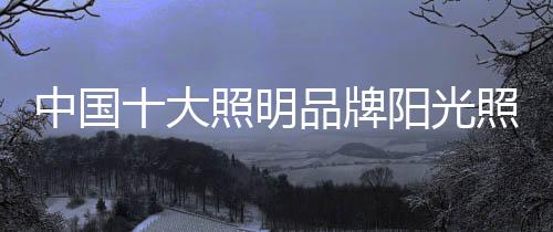 占总营收比例为13.01%