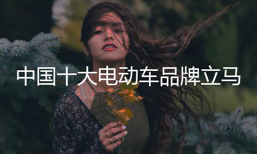 立马中国品牌贡献力量