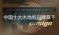中国十大木地板品牌莫干山�：用“新意”呵护全家