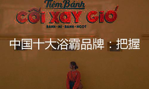 在三、中国品牌聚合太少