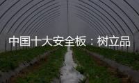 中国十大安全板：树立品牌形象 健康发展