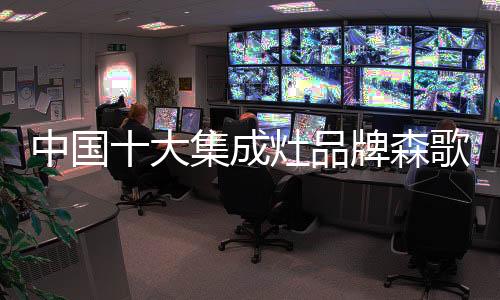 森歌已走过第十四个年头了