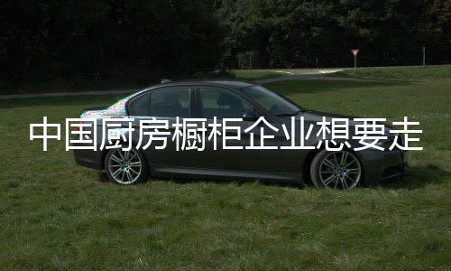 持续发展的业人重要途径