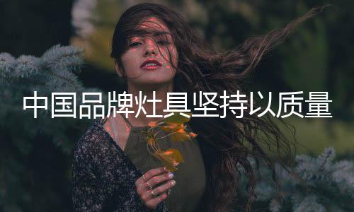 同时性价比高于洋品牌