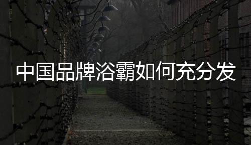 整个浴霸行业专业性强