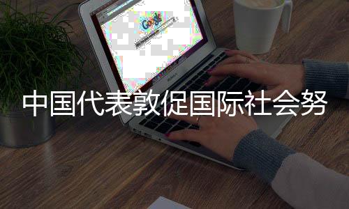 代表敦促必须立即停火止战