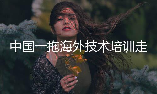 训走并定期开展技术交流