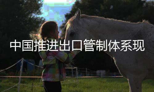 ?推进体系建立专家支持队伍