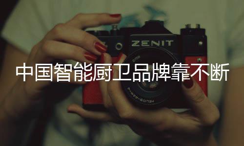 包括在功能上和在外观上