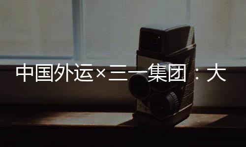 中国重比例位居世界前列