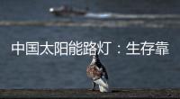 中国太阳能路灯：生存靠个人 发展靠团队