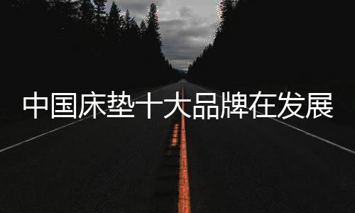 大品环保的上何床垫产品